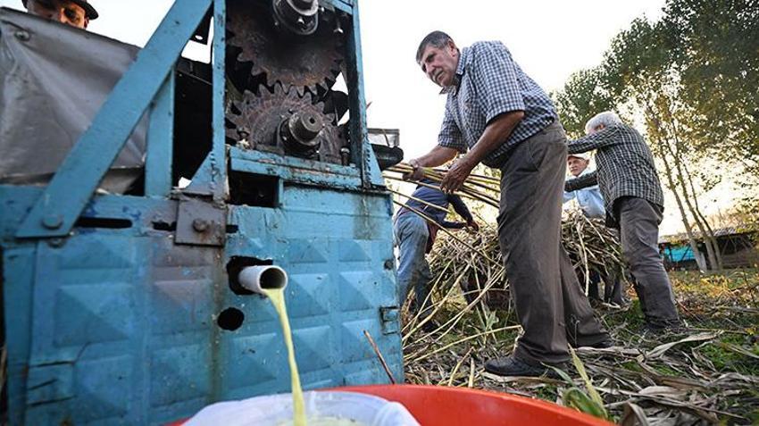 20 dönüm araziye ekti, yılda 1 ton üretmeye başladı! Düzceli kadın girişimci KOSGEB desteğiyle dünyaya açıldı: Yurt dışından sipariş yağıyor