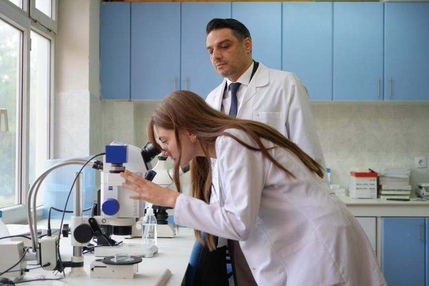 Gaziantep'te kabus başladı! Şehrin her yerini sardılar: Vatandaşlar kapı ve pencerelerini açamıyor