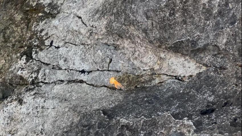 Isparta'nın Eğirdir Gölü'nden gaz fışkırdı! 'Gaz kokusu geliyordu çakmağımı çaktım kaya alev aldı'