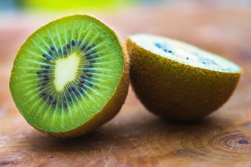 Yalova'nın coğrafi işaretli meyvesi kivide hasat sevinci: Kilosu 80 ila 100 lira arasında değişiyor