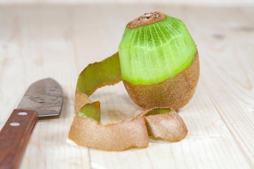 Yalova'nın coğrafi işaretli meyvesi kivide hasat sevinci: Kilosu 80 ila 100 lira arasında değişiyor