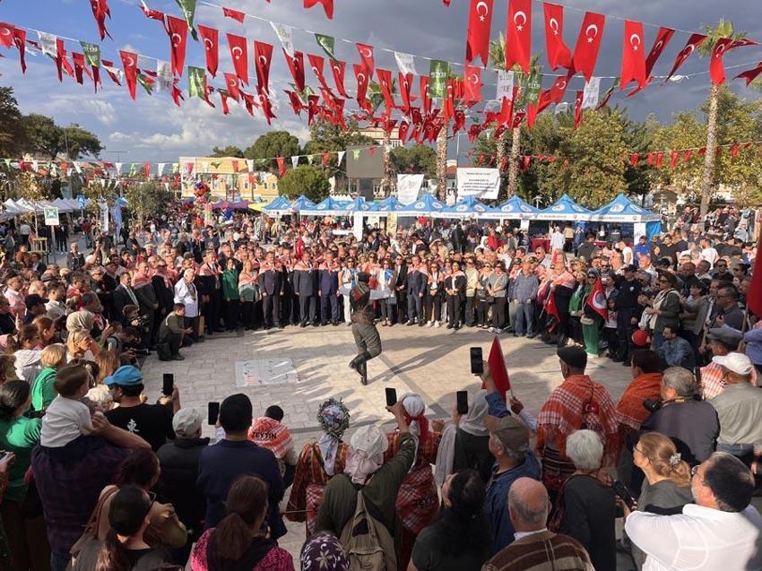 Muğla'da 11. Uluslararası Milas Zeytin Hasat Şenliği başladı