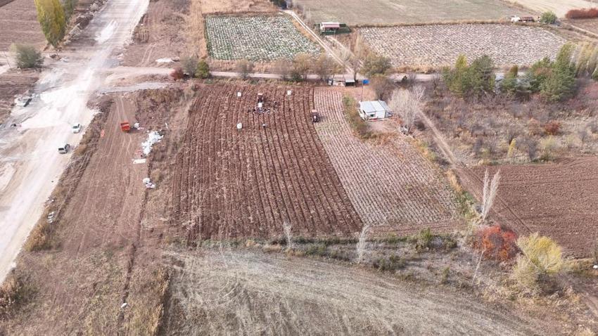 Sivas'ta yılın son hasadı başladı! Bir kere ekti, tonlarca toplayacak, kilosu 30 lira