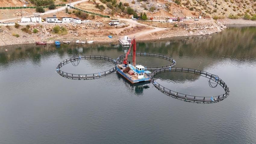 Diyarbakır'da tesisi kurdu 1 yıl sonra 500 ton üretti! 80 kafesle dünyaya ihraç ediyor