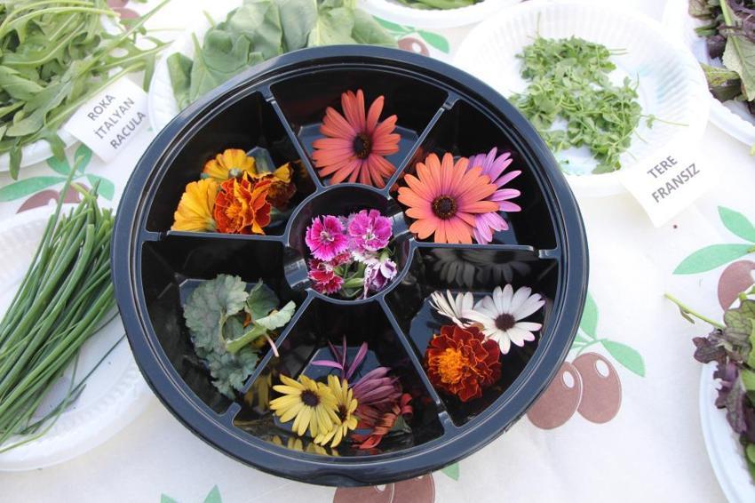 5 yıl önce her şeyi İstanbul'da bırakıp köyüne döndü! 24 ülkeden toplayarak üretime başladı! Satışlar uçtu