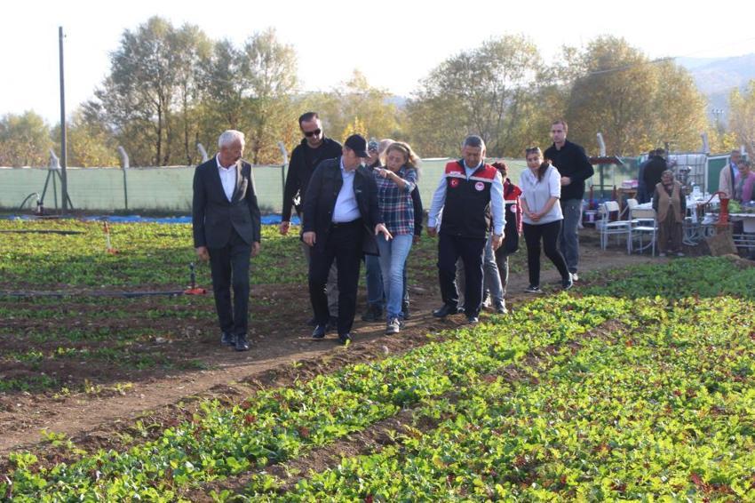 5 yıl önce her şeyi İstanbul'da bırakıp köyüne döndü! 24 ülkeden toplayarak üretime başladı! Satışlar uçtu