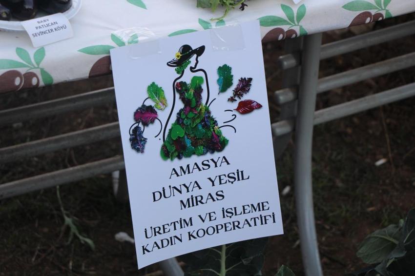 5 yıl önce her şeyi İstanbul'da bırakıp köyüne döndü! 24 ülkeden toplayarak üretime başladı! Satışlar uçtu