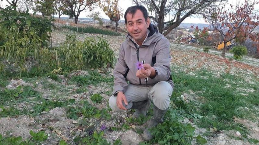 Tarlasında ilk kez yetiştirdi! Sonuç çiftçiyi bile şaşkına çevirdi! Fiyatı altınla yarışıyor