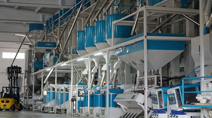Çorum’da beyaz altın hasadı bitti! Kurutma süreciyle kazançlar artıyor
