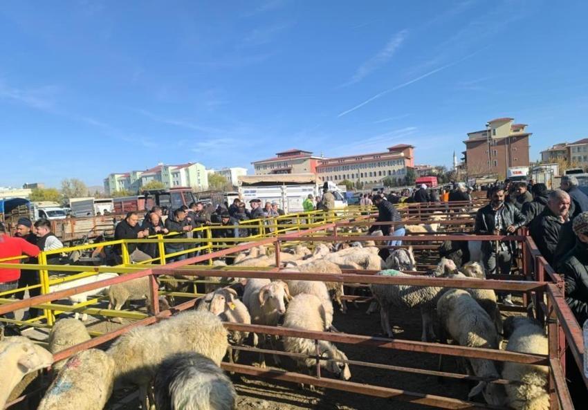 Afyon'da açılışı yapıldı! 70 kilosu 17 bin TL'ye satılıyor