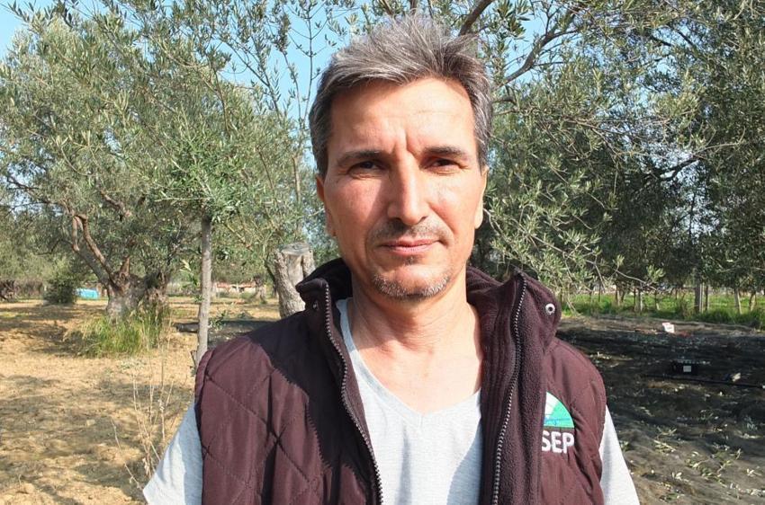 Balıkesir'de çiftçiler bu yönteme geçti: Verim artıyor, ağaç zarar görmüyor, seneye daha çok ürün veriyor!