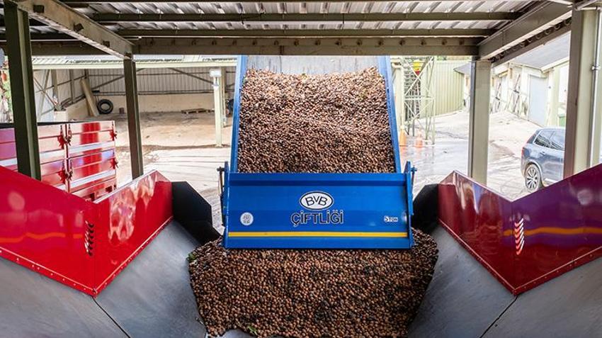 Kırklareli'de dev işletme elektrik faturasını sıfırladı! Enerjisini güneşten alıyor: 1200 Dekar Kıraç Alanda 200 ton ürün çıkardı