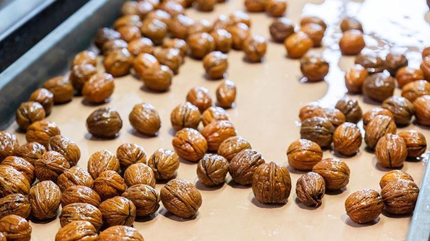 Kırklareli'de dev işletme elektrik faturasını sıfırladı! Enerjisini güneşten alıyor: 1200 Dekar Kıraç Alanda 200 ton ürün çıkardı