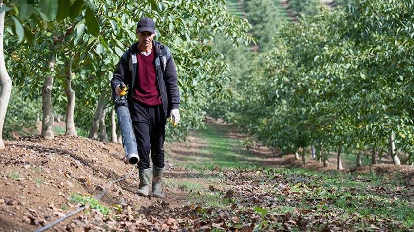 Kırklareli'de dev işletme elektrik faturasını sıfırladı! Enerjisini güneşten alıyor: 1200 Dekar Kıraç Alanda 200 ton ürün çıkardı