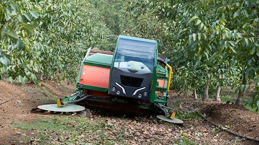 Kırklareli'de dev işletme elektrik faturasını sıfırladı! Enerjisini güneşten alıyor: 1200 Dekar Kıraç Alanda 200 ton ürün çıkardı