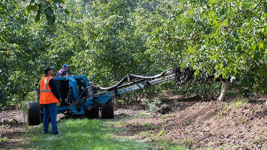 Kırklareli'de dev işletme elektrik faturasını sıfırladı! Enerjisini güneşten alıyor: 1200 Dekar Kıraç Alanda 200 ton ürün çıkardı