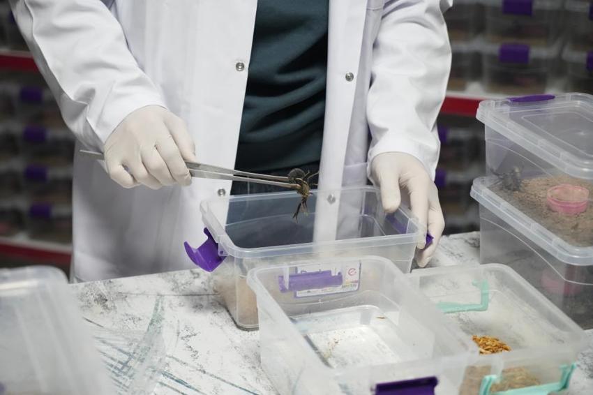 Nevşehir'de tesisi kurdu, Çin ve ABD'ye satıyor! 1 gramı servet değerinde eksi 44 dereceye dayanıklı