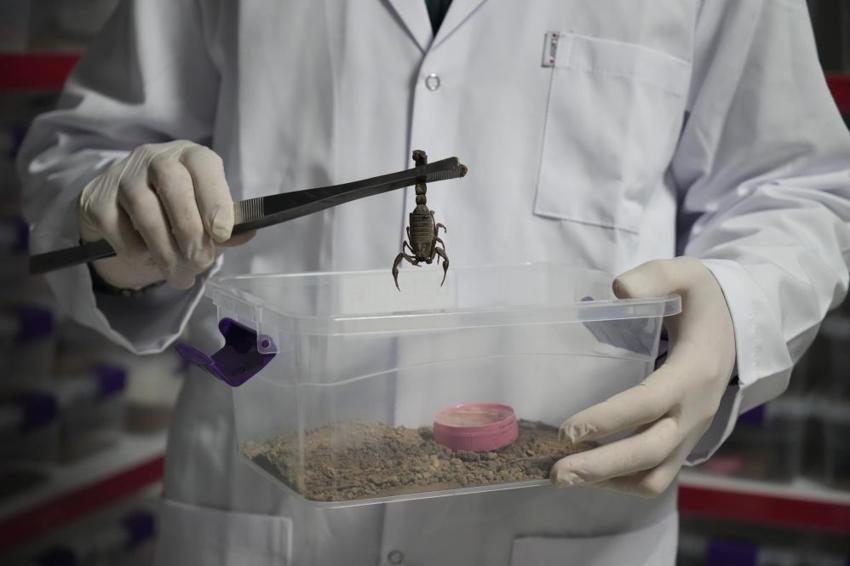 Nevşehir'de tesisi kurdu, Çin ve ABD'ye satıyor! 1 gramı servet değerinde eksi 44 dereceye dayanıklı