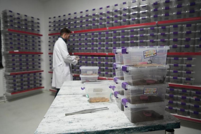 Nevşehir'de tesisi kurdu, Çin ve ABD'ye satıyor! 1 gramı servet değerinde eksi 44 dereceye dayanıklı