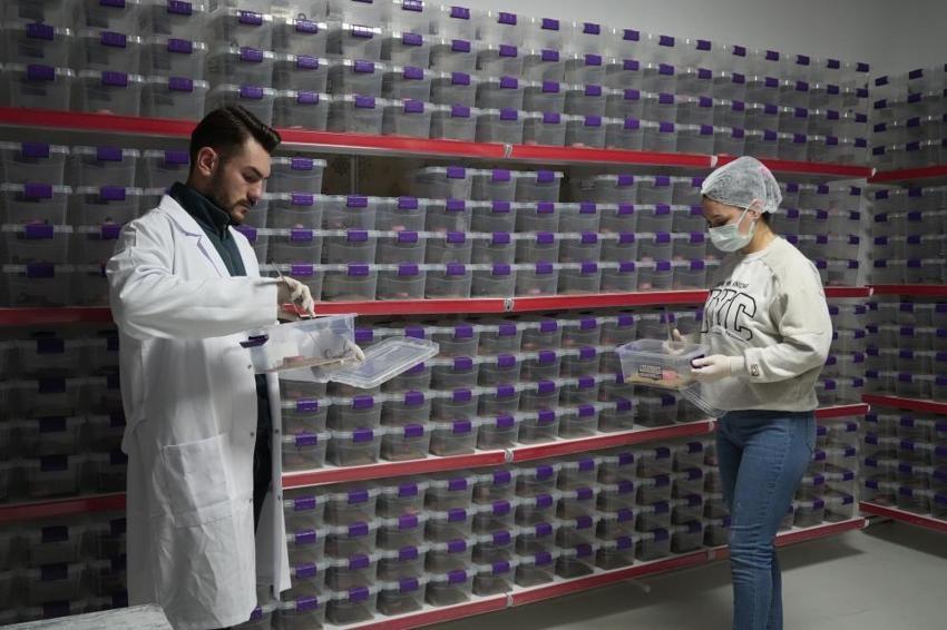 Nevşehir'de tesisi kurdu, Çin ve ABD'ye satıyor! 1 gramı servet değerinde eksi 44 dereceye dayanıklı