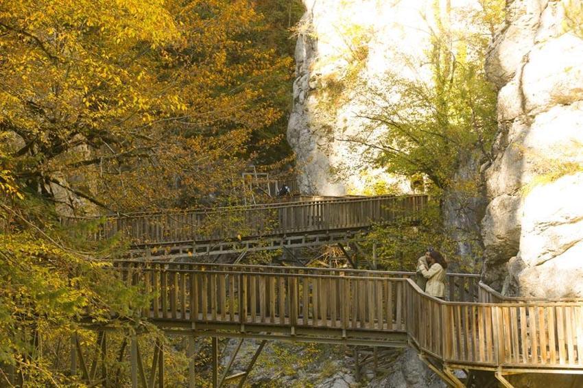 Kastamonu Pınarbaşı'nın cennet köşesi! İçinden sonbaharın geçtiği Horma Kanyonu'nda kartpostallık görüntüler