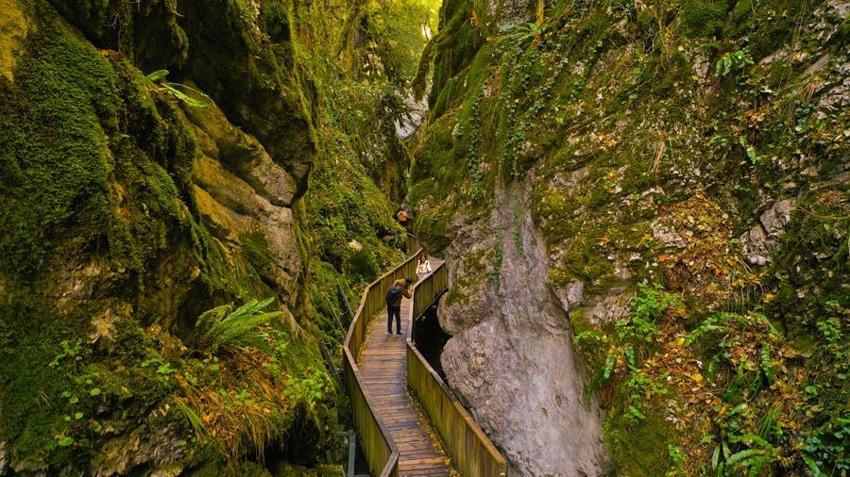 Kastamonu Pınarbaşı'nın cennet köşesi! İçinden sonbaharın geçtiği Horma Kanyonu'nda kartpostallık görüntüler