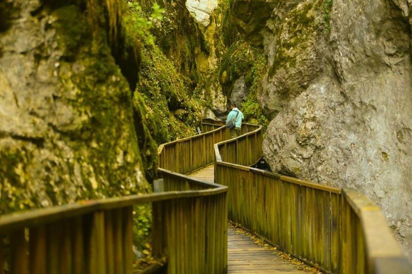 Kastamonu Pınarbaşı'nın cennet köşesi! İçinden sonbaharın geçtiği Horma Kanyonu'nda kartpostallık görüntüler