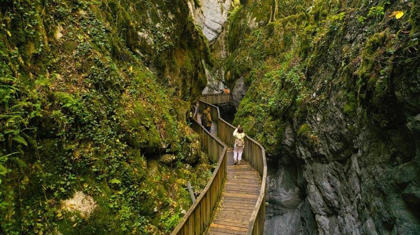 Kastamonu Pınarbaşı'nın cennet köşesi! İçinden sonbaharın geçtiği Horma Kanyonu'nda kartpostallık görüntüler