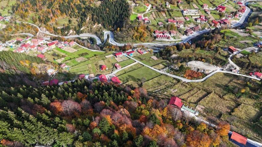 Karadeniz'in kalbine düştü! Altın değerinde: Hayran bırakıyor