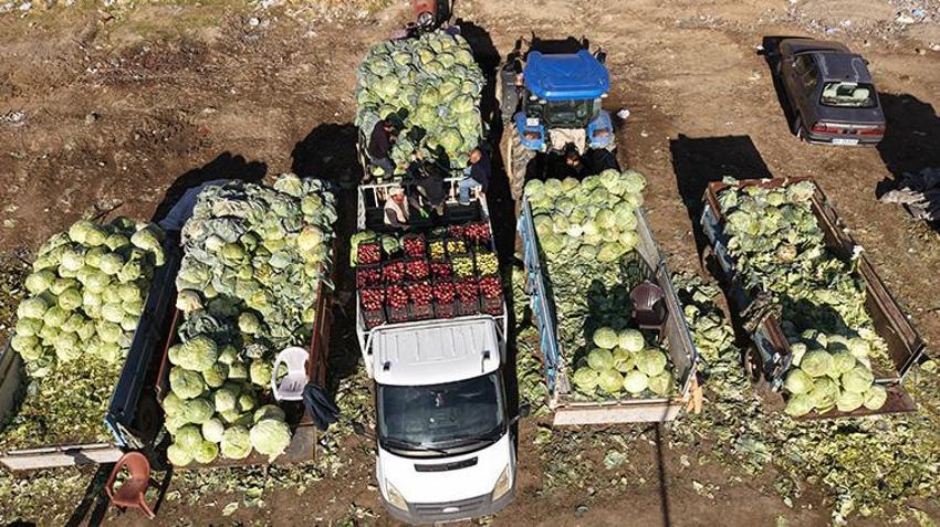 Van’da ata tohumuyla yetiştiriyorlar! Hasat başladı, fiyatı 150 lira! Tüm Türkiye’ye gönderiliyor