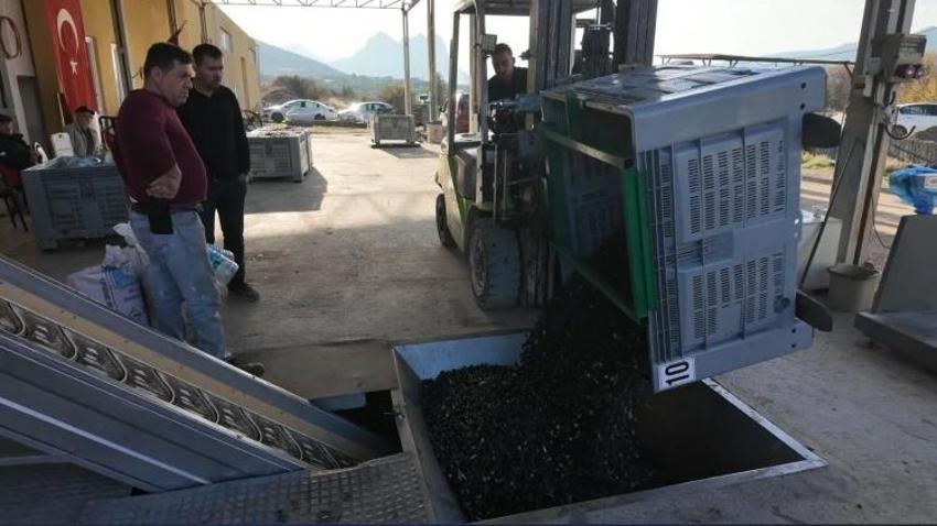 Bir Eskişehir toprağı bu işten para kazanıyor! İlçe Akdeniz gibi: 5 kilodan 1 litre çıkıyor