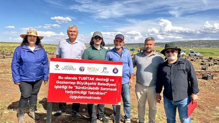 Türkiye'nin 'beyaz altını' kurtuluyor: Kesin çözüm bulundu, verim kaybı tarihe karışıyor!
