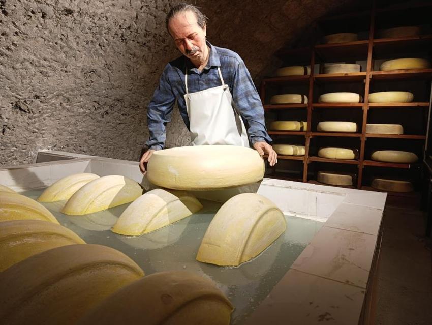 Tarih, kültür ve lezzet tek bir yerde buluştu! Türkiye'nin ilk ve tek peynir müzesi ziyaretçi akınına uğruyor