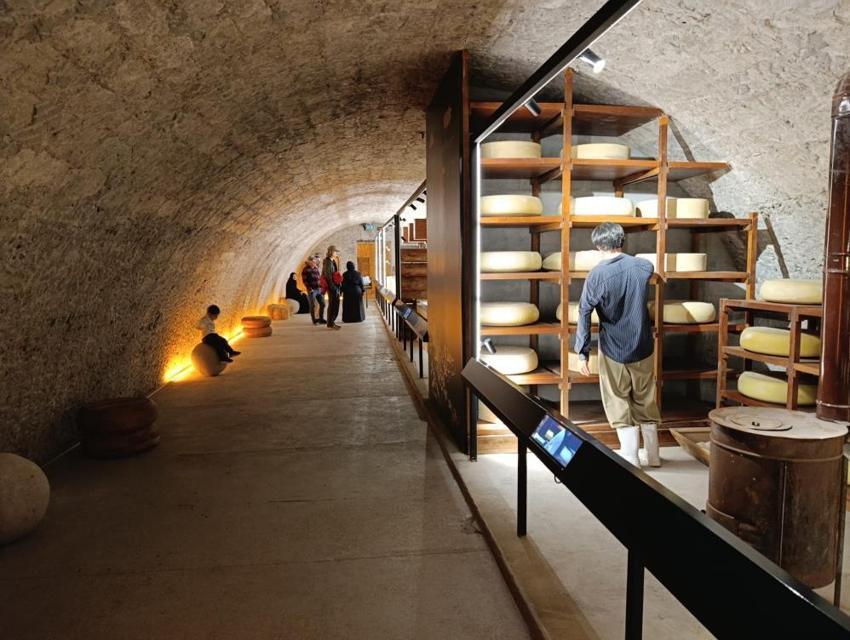 Tarih, kültür ve lezzet tek bir yerde buluştu! Türkiye'nin ilk ve tek peynir müzesi ziyaretçi akınına uğruyor