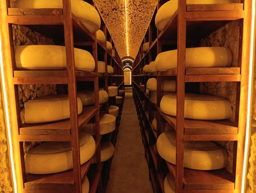 Tarih, kültür ve lezzet tek bir yerde buluştu! Türkiye'nin ilk ve tek peynir müzesi ziyaretçi akınına uğruyor