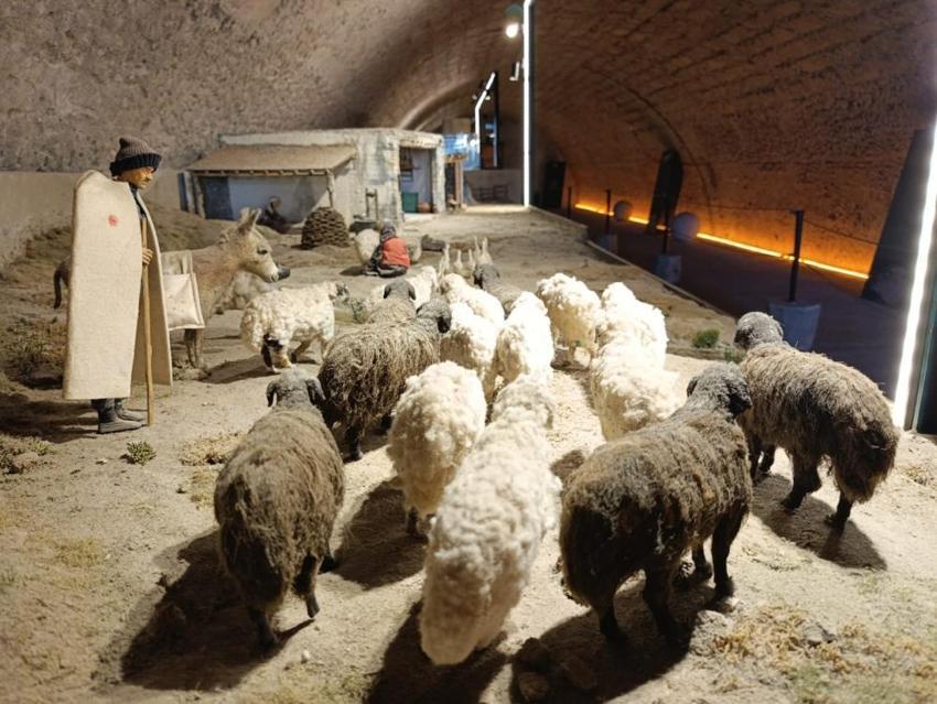 Tarih, kültür ve lezzet tek bir yerde buluştu! Türkiye'nin ilk ve tek peynir müzesi ziyaretçi akınına uğruyor