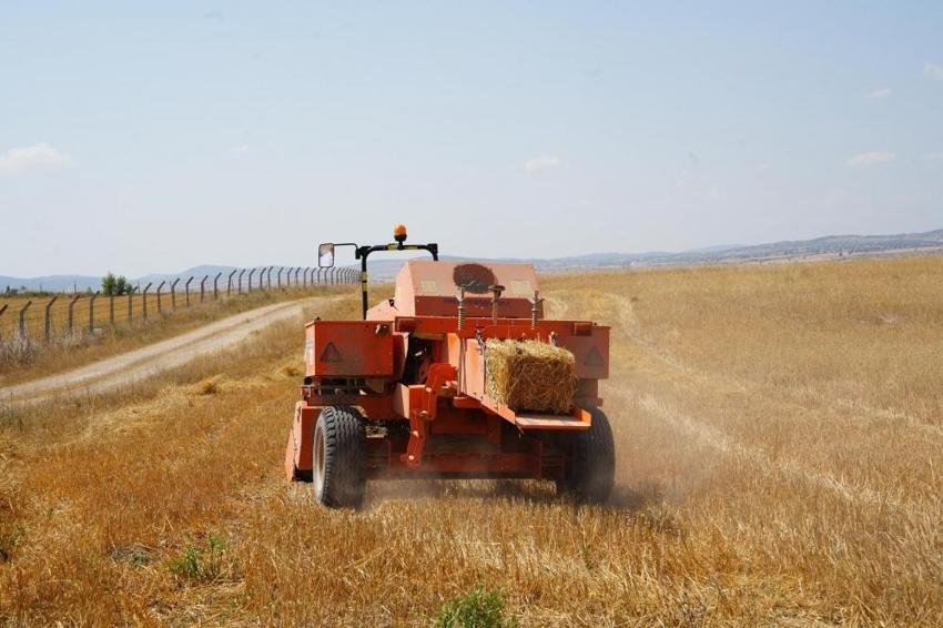 Eskişehir'de ücretsiz dağıtılmaya başlandı! Tarlada ucuza geliyor