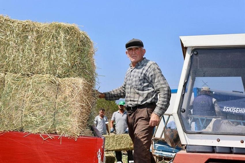 Eskişehir'de ücretsiz dağıtılmaya başlandı! Tarlada ucuza geliyor