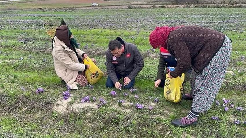 100 gramı 60 bin TL! Topraktan para fışkırıyor, bu bitkiyi eken hemen zengin oluyor, bir tutamı yetiyor