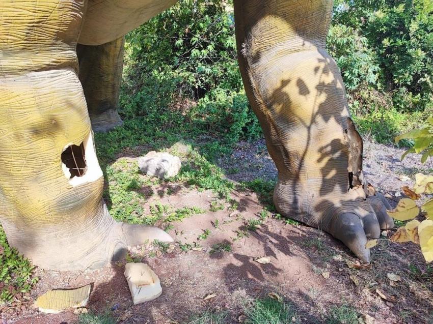 Çukurova'nın serveti çöp oldu! Adana'da terk edilmiş halde bulundu