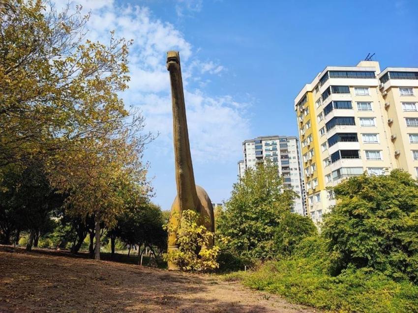 Çukurova'nın serveti çöp oldu! Adana'da terk edilmiş halde bulundu