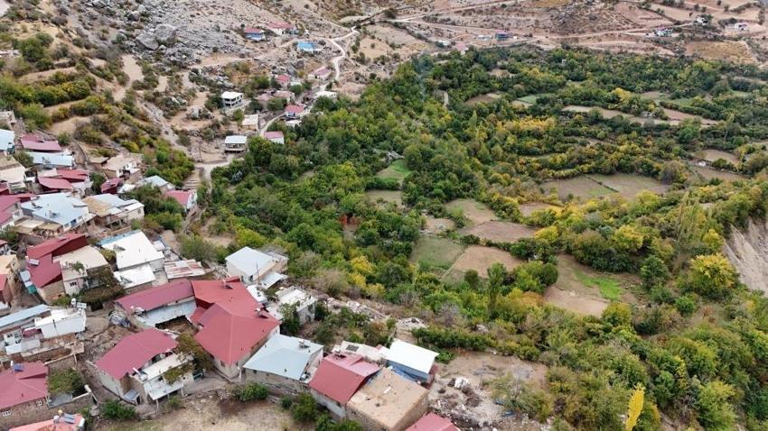 Diyarbakır'ın Akdeniz'i: Bu köye ne eksen onu biçiyorsun! Yöre halkına gelir kaynağı oldu