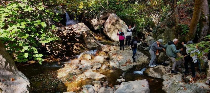 Aydın'da ormana girince fark ettiler: Köylüler yıllardır bu sesi duyuyor