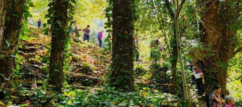 Aydın'da ormana girince fark ettiler: Köylüler yıllardır bu sesi duyuyor