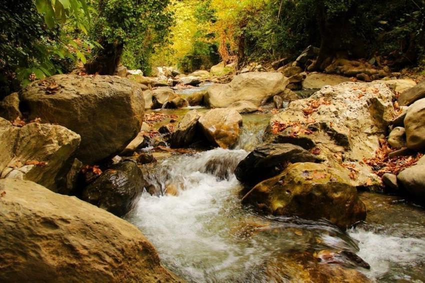 Aydın'da ormana girince fark ettiler: Köylüler yıllardır bu sesi duyuyor