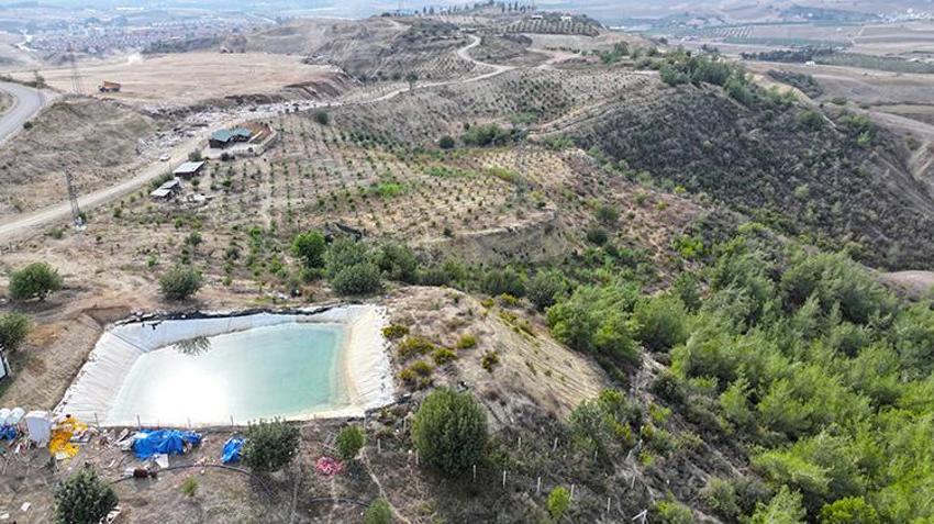 Adana'da emekli mühendis devletten kiraladığı atıl araziye hayat verdi! 156 dönümlük alanda fidanlar yeşerdi