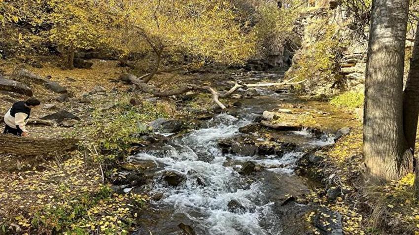 Muradiye Şelalesi sonbaharda büyülüyor! Ziyaretçiler oraya akın ediyor