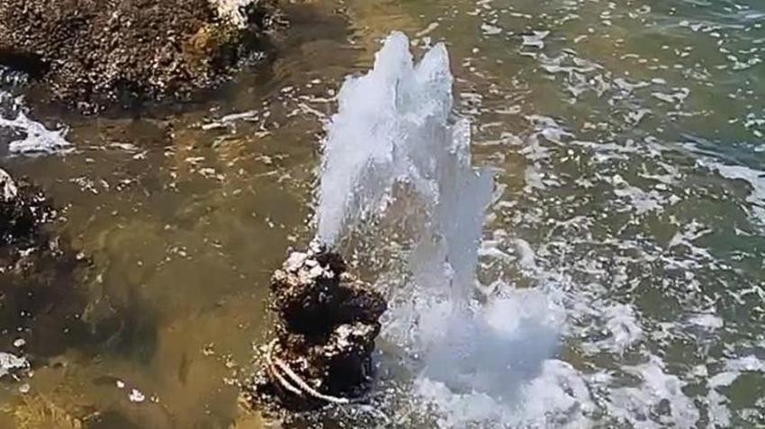 Gevaş'ta bilim dünyasını şaşırtan görüntü! Van Gölü çekildi, tatlı su fışkırmaya başladı