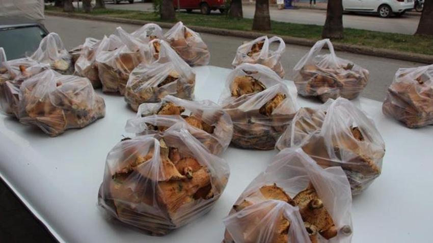 Gök gürültüsüyle birlikte ortaya çıkıyor! Kilosu 350 TL! Kapış kapış satılıyor