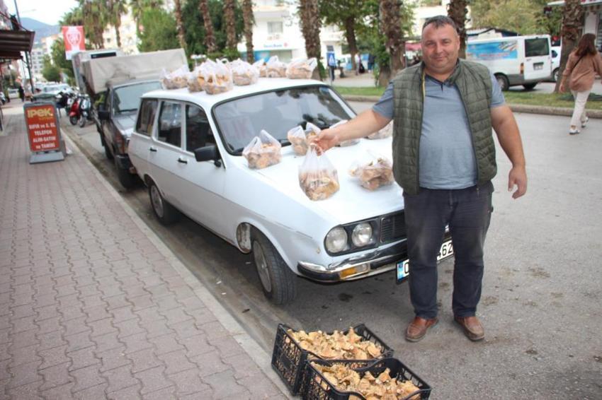 Gök gürültüsüyle birlikte ortaya çıkıyor! Kilosu 350 TL! Kapış kapış satılıyor